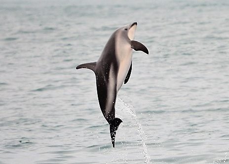 k-DSC_0130_Verbessert